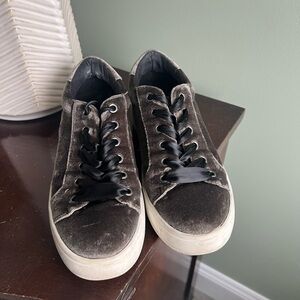 Women’s Steve Madden dark grayish green Velvet Sneaker